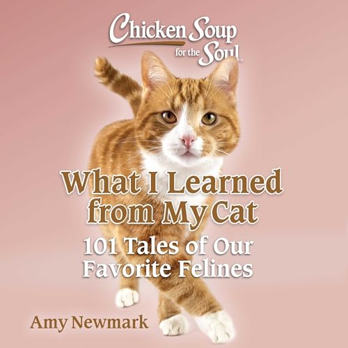Chicken_Soup_Cats.jpg